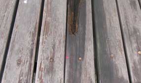 防腐木多少錢一立方